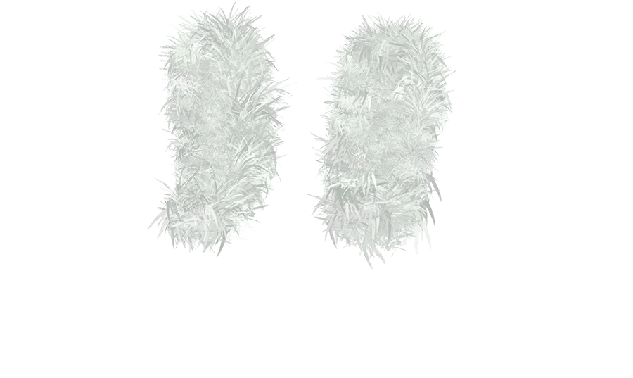 Shoes 5