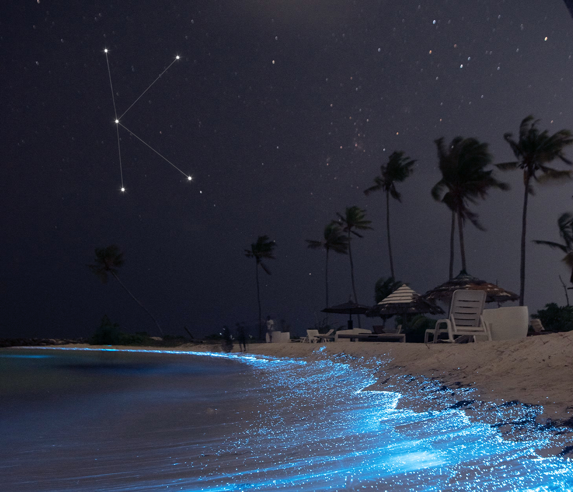 Blue Hour tour